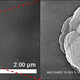 Partícula de polvo estelar reproducida por técnicos de la NASA. Foto: NASA